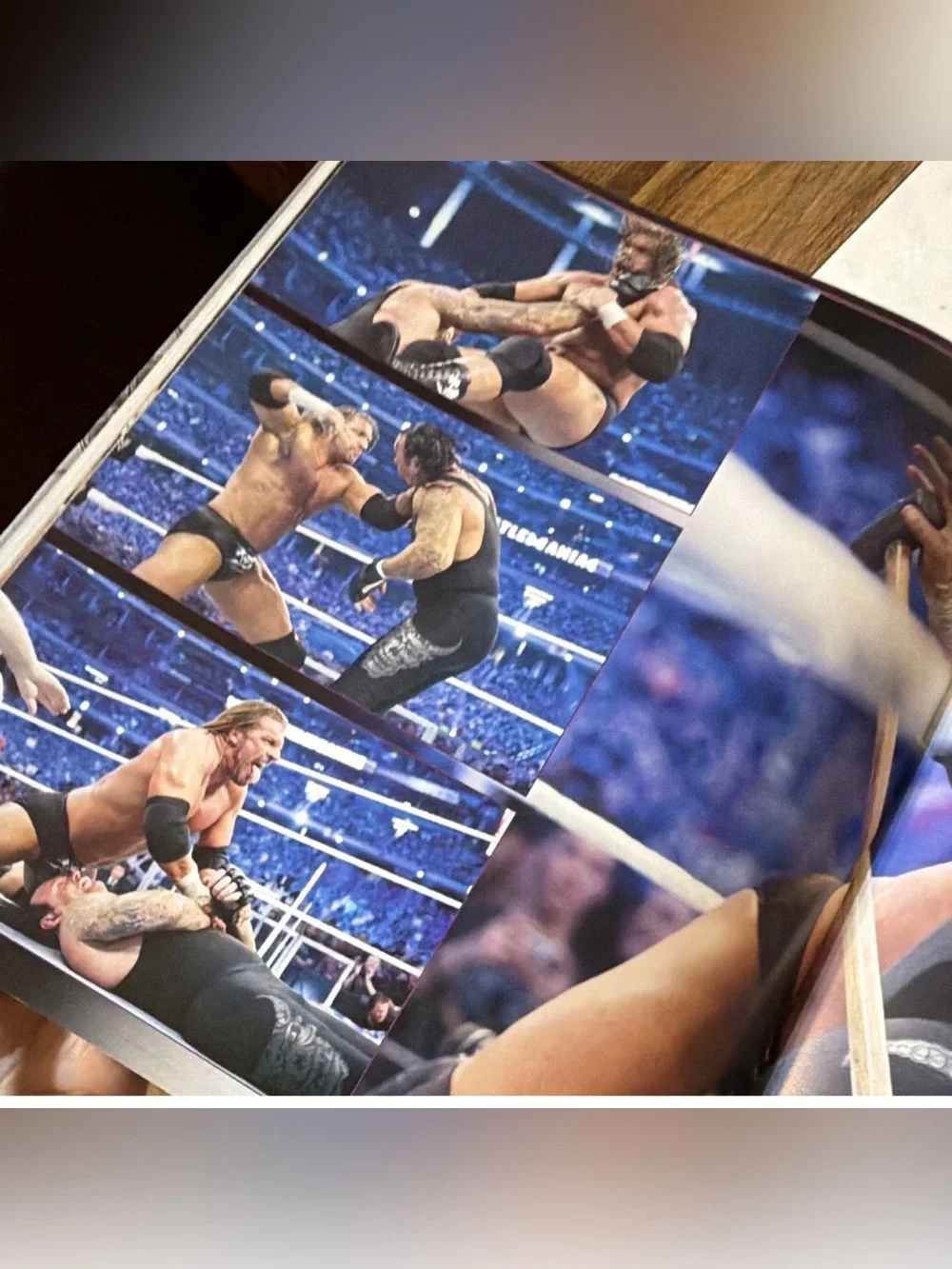 DK WWE Undertaker 25 Years of Destruction Hardcover Book 2015